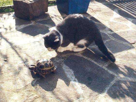 Buffy und Nicky April 2004