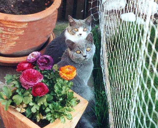 Buffy und Baloo April 2004