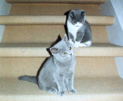 Buffy und Baloo März 2004