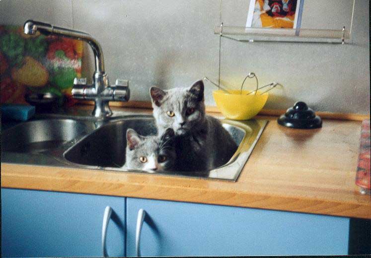 Buffy und Baloo März 2004